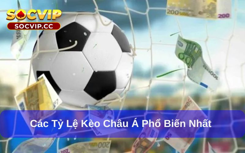 Kèo Châu Á Là Gì? Các Loại Kèo Châu Á Đáng Chơi Nhất 6 Kèo châu Á có nhiều tỷ lệ cược đa dạng
