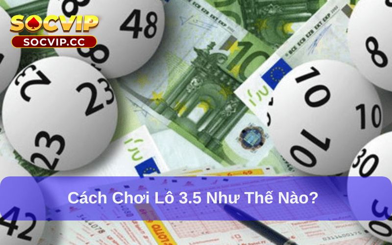 Lô 3.5 Là Gì? Khái Niệm, Cách Chơi Và Mẹo Vào Bờ Hiệu Quả 6 Lô 3.5 có cách chơi dễ hiểu
