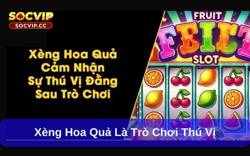 Xèng Hoa Quả – Cách Tham Gia Và Mẹo Chơi Hiệu Quả Nhất 5 Xèng hoa quả là trò chơi thú vị